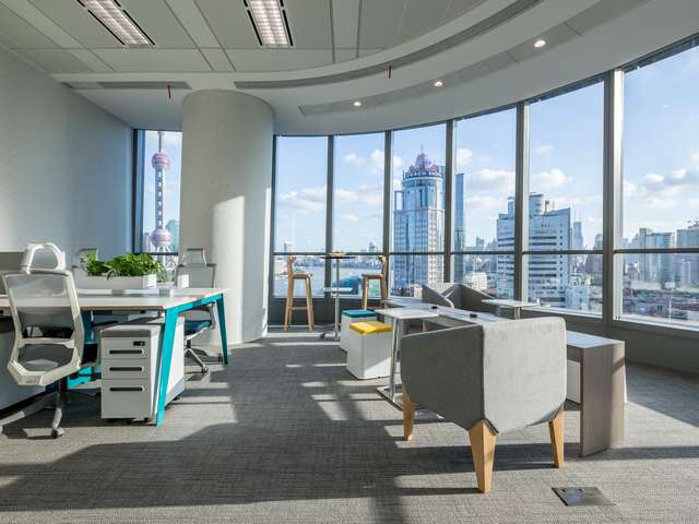 专业植物租赁电话